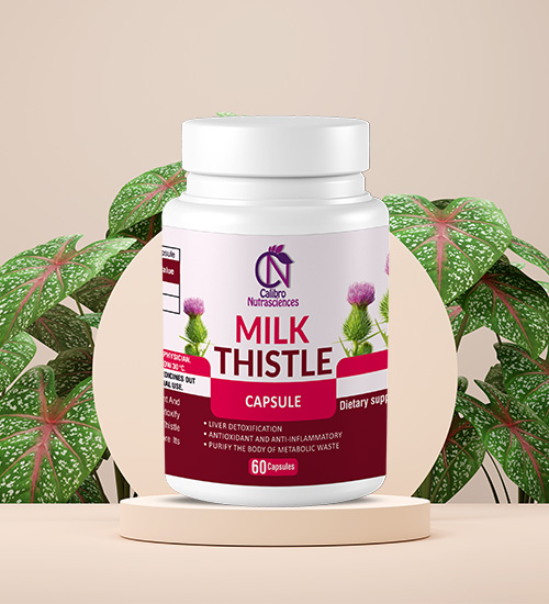 Milk Thistle Capsule
